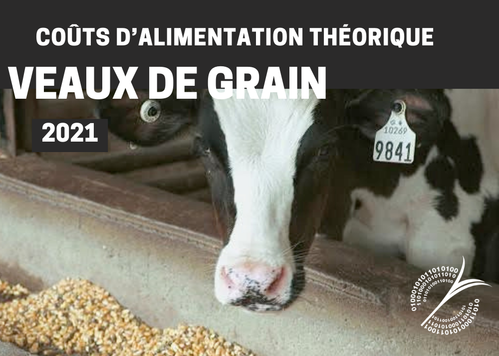 Inf. complémentaires : COÛTS D'ALIMENTATION THÉORIQUE - VEAUX DE GRAIN 2021